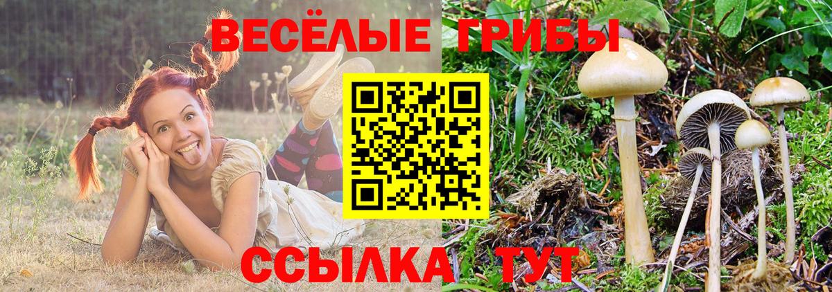 Псилоцибиновые грибы Magic Shrooms  купить наркотик  Верхний Уфалей  Вход с VPN  Псилоцибиновые грибы ЛСД 
