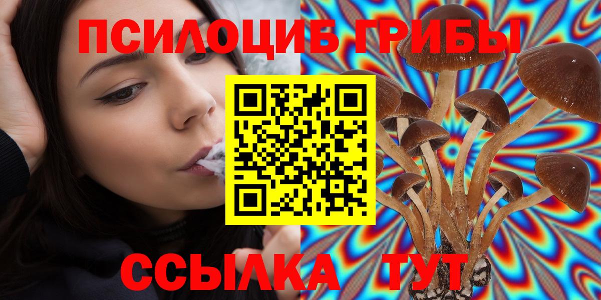 Галлюциногенные грибы Psilocybine cubensis Верхний Уфалей